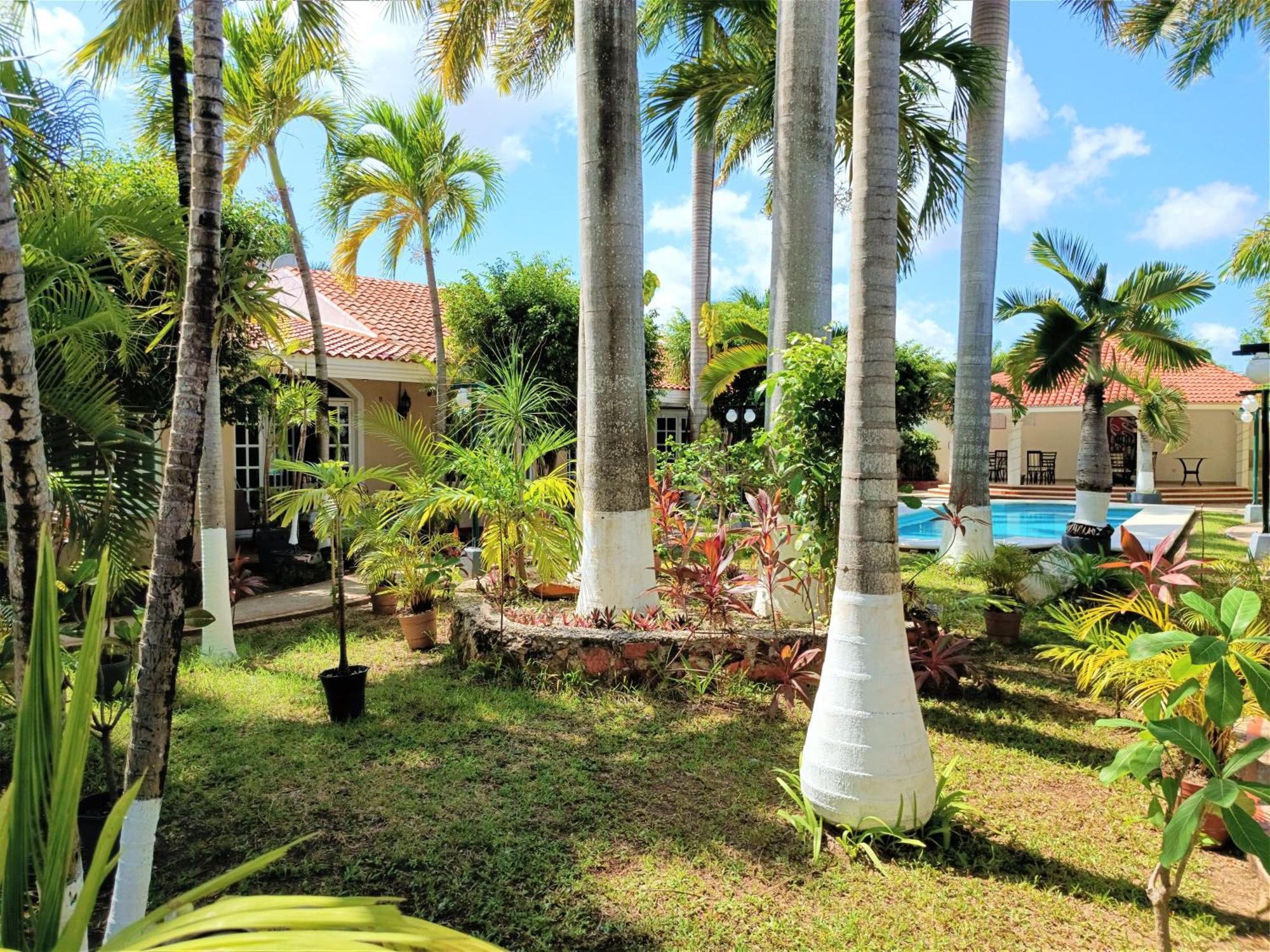 Tulipanes Cancun Exterior photo